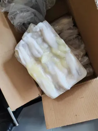 Frozen Illex Squid Roe