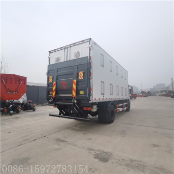 DONGFENG baby chick truck with 8 m body