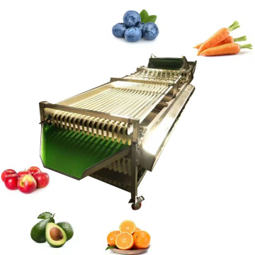 Vegetable and Fruit Sorting Grading Machine: Avocado, Blueberry, Watermelon, Cherry Tomato, and Potato Sorter