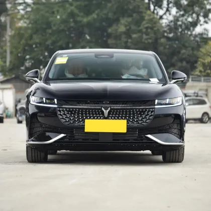 Best Price Voyah Zhuiguang Chasing Light Electric Car EV