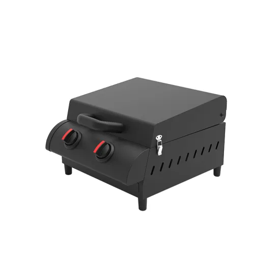 Tabletop Kitchen Cookware Sets Gas Built-In Ovens Stainless Steel Double Burner Gas Bbq Grill