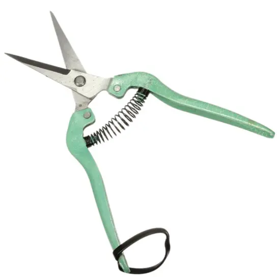 19.5cm Straight blade fruit flower leaf trimmer Garden Scissor pruner Shear pruning cut Shrub Orchard tool Plant horticulture