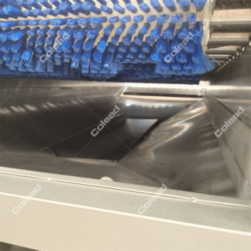 Industrial Brush Washing Machine for root vegetable line