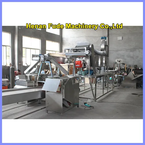 Automatic Peanut frying processing line