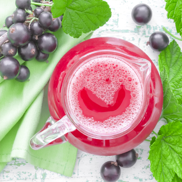 Blackcurrant powder for sale