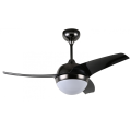 Black Modern Ceiling Fan with LED Light