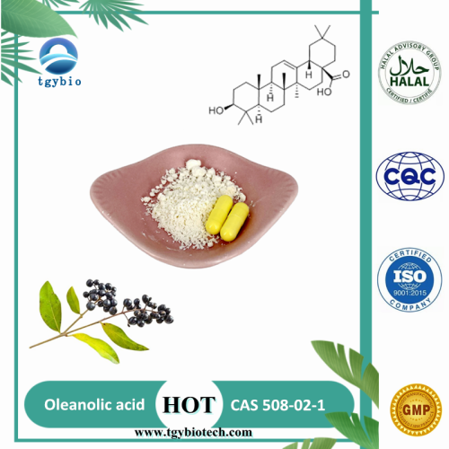  Snow white Powder Low price Oleanic Acid 98%/Oleanolic Acid Extract Manufactory