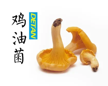Frozen Wild Chanterelles Mushrooms