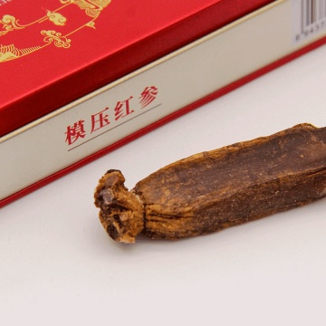 Ginseng rosso singolo a forma di supremo