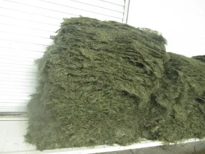 chuka wakame laminaria dried raw