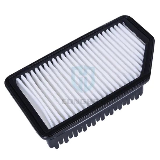 China Manufacturer Custom No-woven Auto Air Filter - HEPA Air Filter 28113-1R100