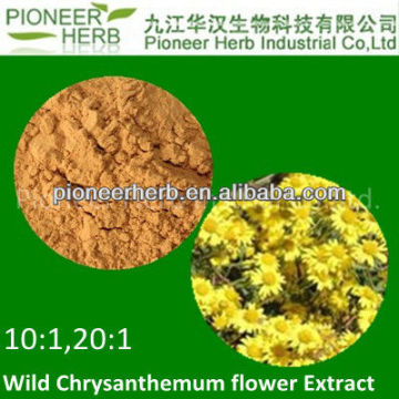 WILD CHRYSANTHEMUM EXTRACT