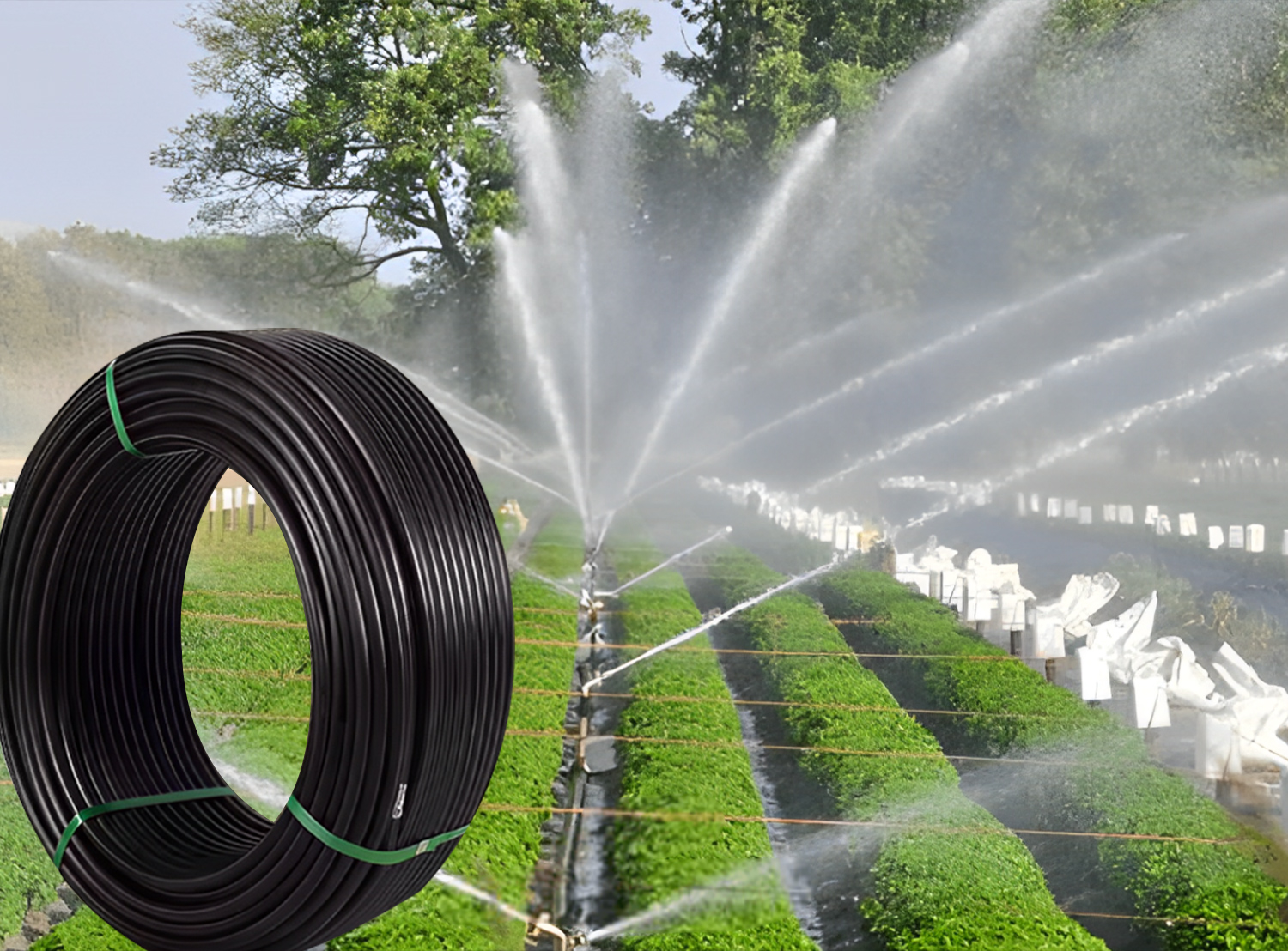 HDPE Coil Pipe HDPE Coil Pipe