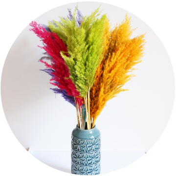 Natural Dried Pampas Grass Arrangements for Wedding and Home Decor