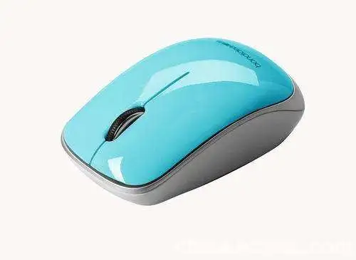 Plastic Mouse spray painting processing
