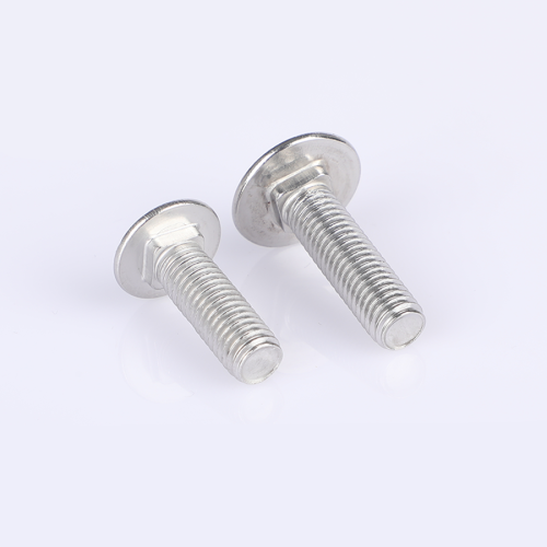 Paslanmaz çelik taşıma cıvataları