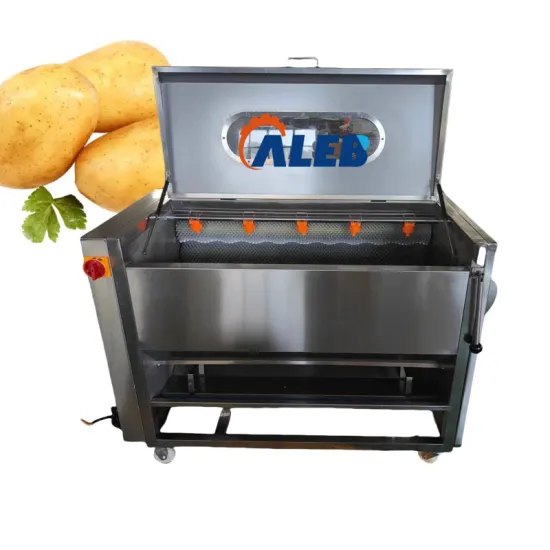 Professional Fruit and Vegetable Cleaning Machine: Efficiently Wash and Peel Ginger, Carrots, Potatoes, and More