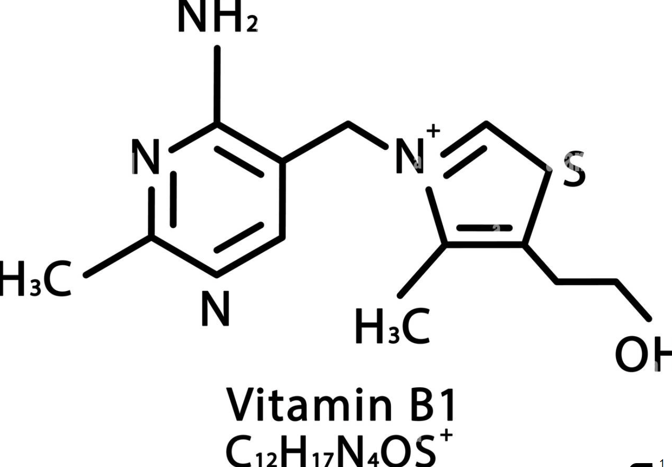 Thiamine Hydrochloride Ingredient