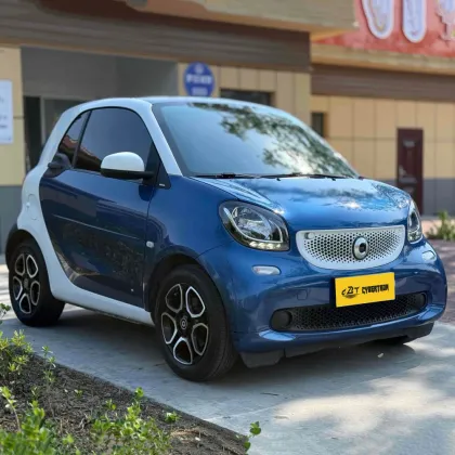 Smart Fortwo 2019 66kW Hardtop Wind Power Edition