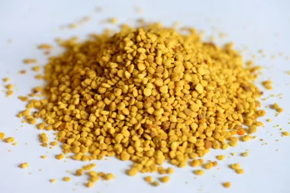 natural and pure BEE POLLEN honeybees