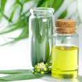 Eucalyptus Organic Essential Oil 80% 70% 60%
