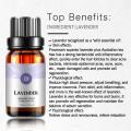 High Quantity 10ml 100 % Pure Nature Aromatherapy Lavender Essential Oil Private Label OEM/ODM