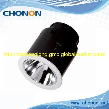 wall washer downlight/Par38