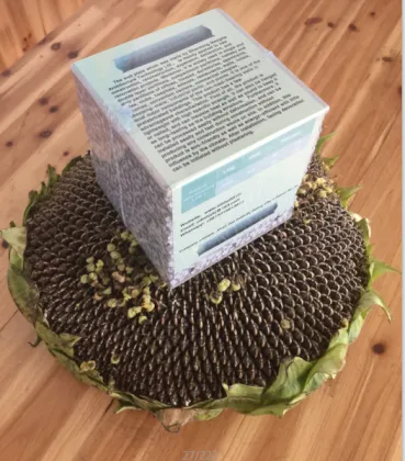 wall boards instead of brick walls