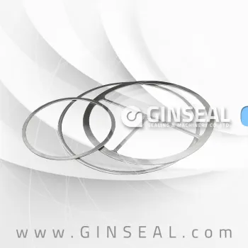 Double Jacketed Gasket