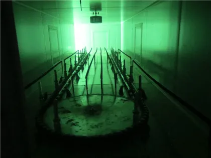 automatic spray gold plated pen line