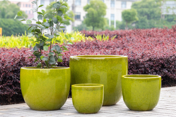ceramic pot