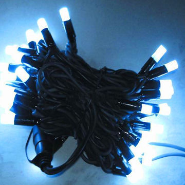 100 Clear LED Christmas String Lights for Wedding Outdoor Party, AC 110V/240V