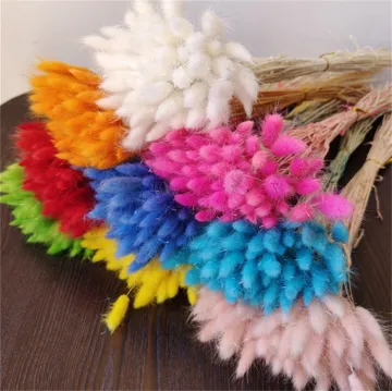 Customize Color 60PCS Natural Dried Bunny Tail Grass Cake Topper for Wedding Bouquets