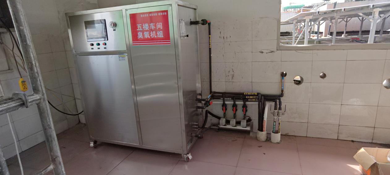 500g-ozone-generator-food-processing-workshop