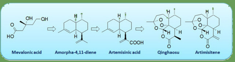 Artemisinin