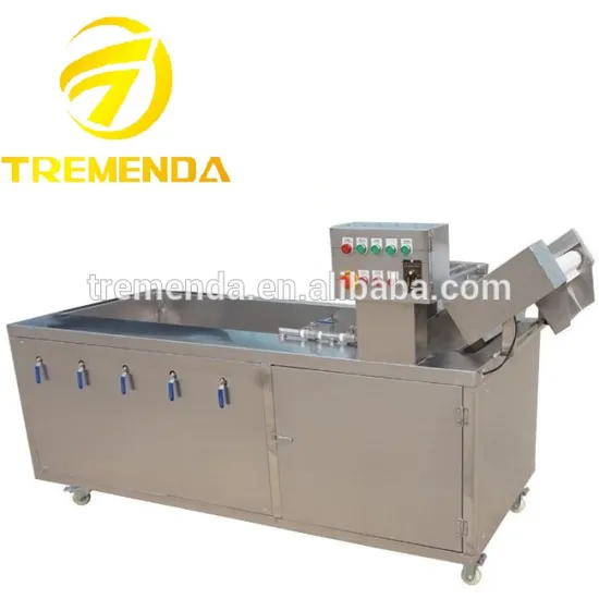 fruit and vegetable sterilizing machine