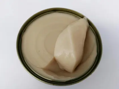 Salmon&Chicken Mousse Wet Food