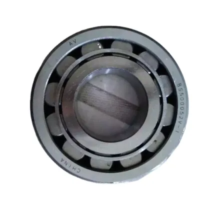 High Speed F-627858.01 NU-BNS 55x90x18mm Cylindrical Roller Bearing for Auto Vehicle and Scooter