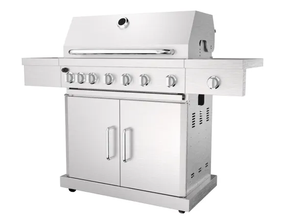 Stainless Steel 6 Burner Gas Grill