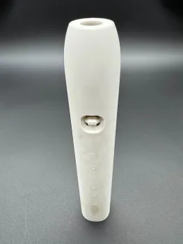 Fully degradable electric toothbrush shell