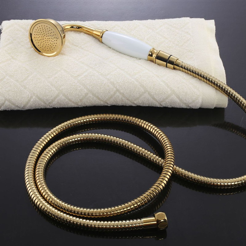 ss Handled shower head hose with brass inssert