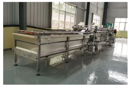 Seafood Processing Machine: Clam Shellfish Squid Mussel Washer and Pineapple Cutting Carving Blanching Production Line