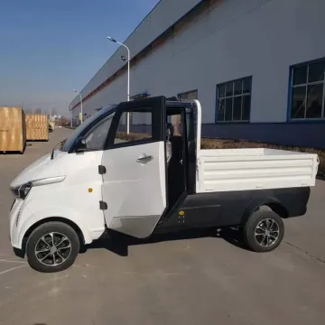 China Electric Car EEC New Four Wheel Two Seat Lithium Battery Electric Car in 2023 Adult Driving Coc Electric Mini Van
