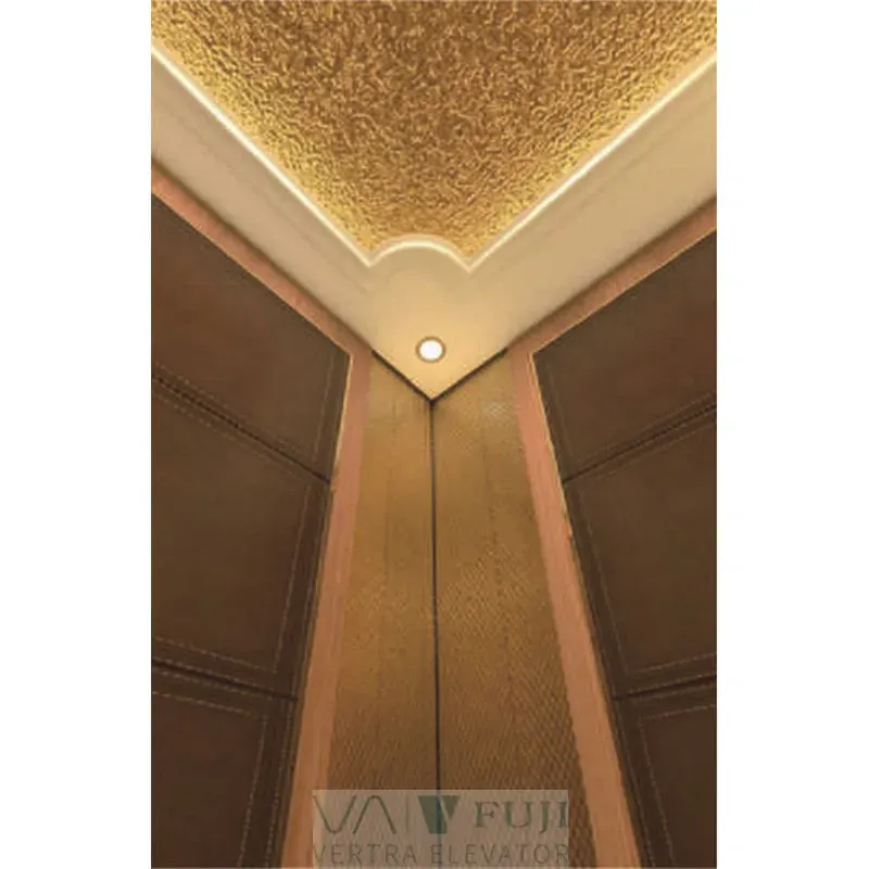 Sumptuous Wooden Cabin Elevator for Villa and Hotel