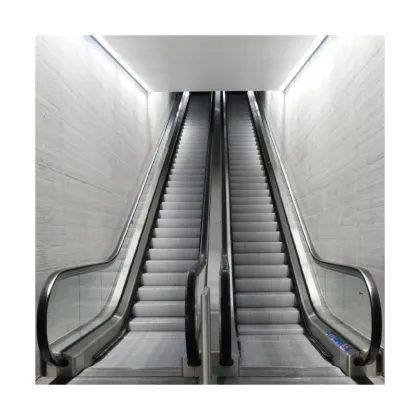 China Professional Escalators Manufacturer: Escalators, Elevators, and Lifts Suppliers