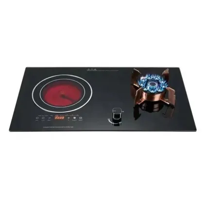 OEM ODM Electric Gas Cooker Induction Cooker 2 Burners Cooktop