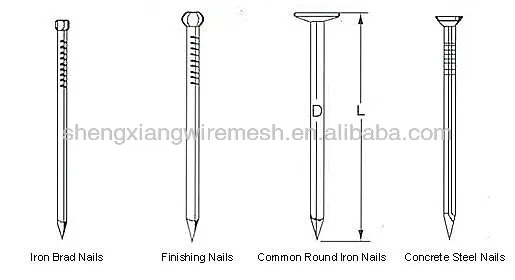Concrete Nail(Factory)