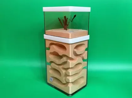 Ant Farm Tank: Educational Formicarium Ant House Nest