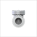 Kutupa valve ya kuangalia swing