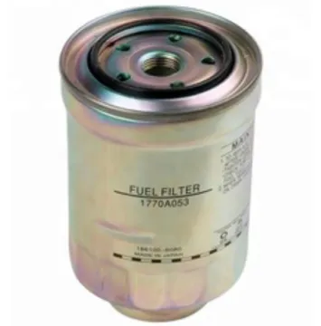 1770A053 L200 Car Fuel Filter - Types of Fuel Filter